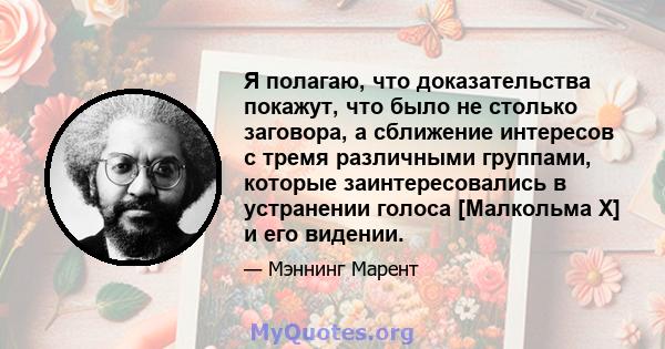 Я полагаю, что доказательства покажут, что было не столько заговора, а сближение интересов с тремя различными группами, которые заинтересовались в устранении голоса [Малкольма X] и его видении.