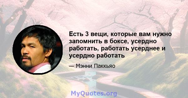 Есть 3 вещи, которые вам нужно запомнить в боксе, усердно работать, работать усерднее и усердно работать