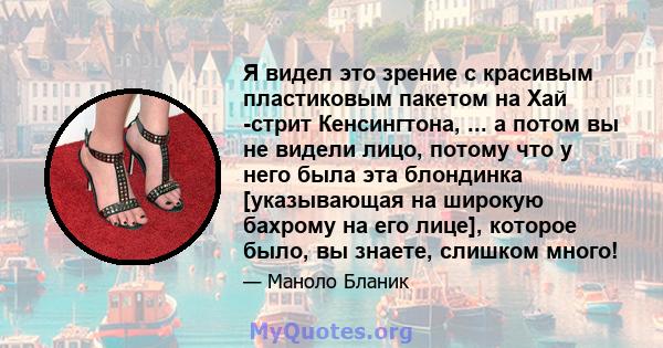 Я видел это зрение с красивым пластиковым пакетом на Хай -стрит Кенсингтона, ... а потом вы не видели лицо, потому что у него была эта блондинка [указывающая на широкую бахрому на его лице], которое было, вы знаете,