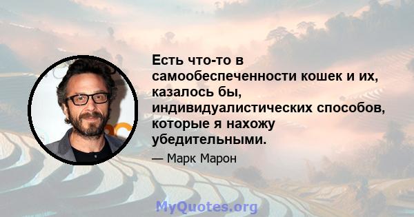 Есть что-то в самообеспеченности кошек и их, казалось бы, индивидуалистических способов, которые я нахожу убедительными.