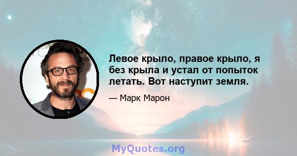 Левое крыло, правое крыло, я без крыла и устал от попыток летать. Вот наступит земля.