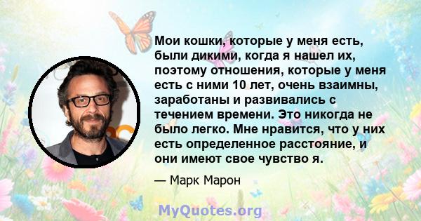 Мои кошки, которые у меня есть, были дикими, когда я нашел их, поэтому отношения, которые у меня есть с ними 10 лет, очень взаимны, заработаны и развивались с течением времени. Это никогда не было легко. Мне нравится,