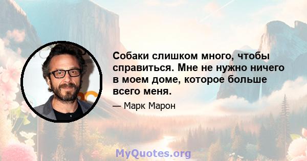 Собаки слишком много, чтобы справиться. Мне не нужно ничего в моем доме, которое больше всего меня.