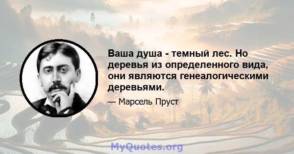 Ваша душа - темный лес. Но деревья из определенного вида, они являются генеалогическими деревьями.