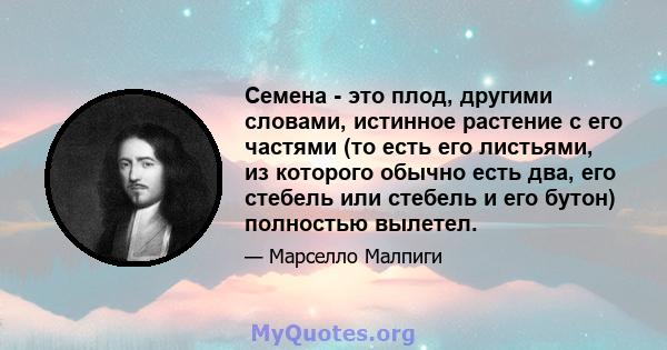 Семена - это плод, другими словами, истинное растение с его частями (то есть его листьями, из которого обычно есть два, его стебель или стебель и его бутон) полностью вылетел.