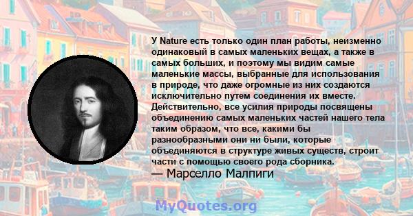 У Nature есть только один план работы, неизменно одинаковый в самых маленьких вещах, а также в самых больших, и поэтому мы видим самые маленькие массы, выбранные для использования в природе, что даже огромные из них