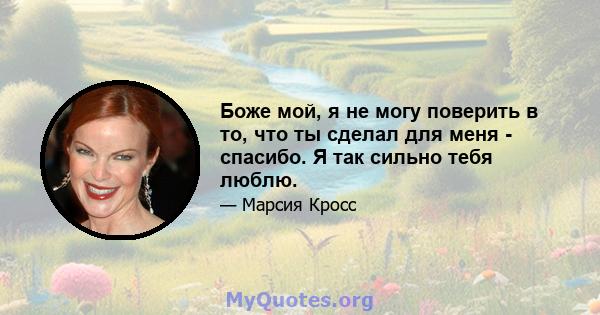 Боже мой, я не могу поверить в то, что ты сделал для меня - спасибо. Я так сильно тебя люблю.