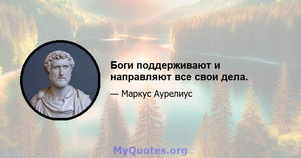 Боги поддерживают и направляют все свои дела.