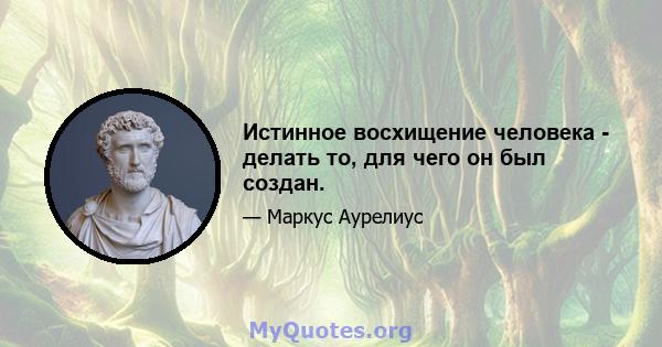 Истинное восхищение человека - делать то, для чего он был создан.