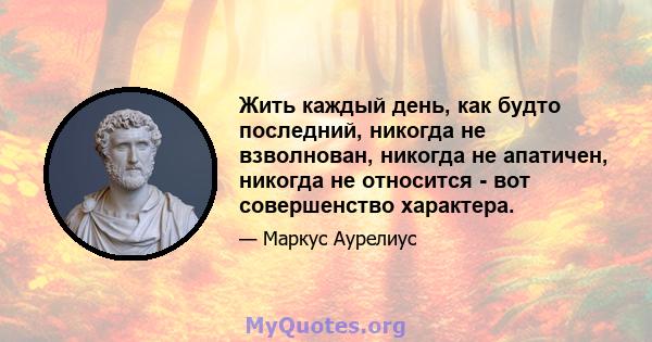 Жить каждый день, как будто последний, никогда не взволнован, никогда не апатичен, никогда не относится - вот совершенство характера.