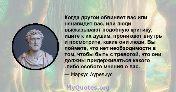 Когда другой обвиняет вас или ненавидит вас, или люди высказывают подобную критику, идите к их душам, проникают внутрь и посмотрите, какие они люди. Вы поймете, что нет необходимости в том, чтобы быть с тревогой, что