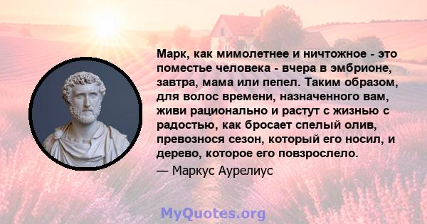 Марк, как мимолетнее и ничтожное - это поместье человека - вчера в эмбрионе, завтра, мама или пепел. Таким образом, для волос времени, назначенного вам, живи рационально и растут с жизнью с радостью, как бросает спелый