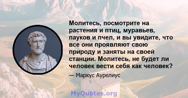 Молитесь, посмотрите на растения и птиц, муравьев, пауков и пчел, и вы увидите, что все они проявляют свою природу и заняты на своей станции. Молитесь, не будет ли человек вести себя как человек?