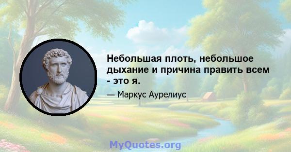 Небольшая плоть, небольшое дыхание и причина править всем - это я.