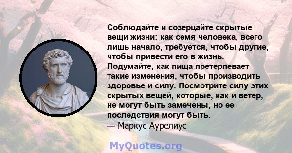 Соблюдайте и созерцайте скрытые вещи жизни: как семя человека, всего лишь начало, требуется, чтобы другие, чтобы привести его в жизнь. Подумайте, как пища претерпевает такие изменения, чтобы производить здоровье и силу. 