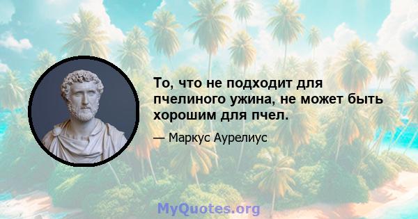 То, что не подходит для пчелиного ужина, не может быть хорошим для пчел.