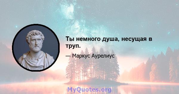 Ты немного душа, несущая в труп.