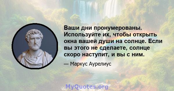 Ваши дни пронумерованы. Используйте их, чтобы открыть окна вашей души на солнце. Если вы этого не сделаете, солнце скоро наступит, и вы с ним.