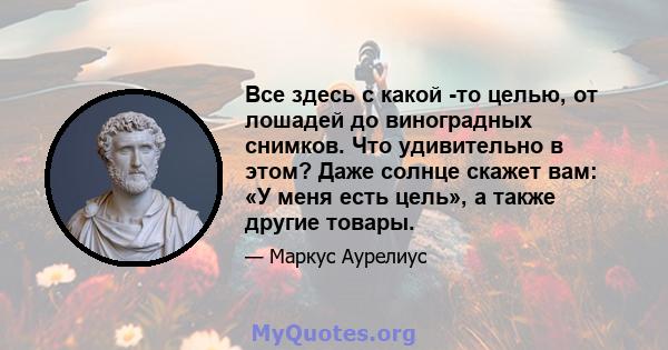 Все здесь с какой -то целью, от лошадей до виноградных снимков. Что удивительно в этом? Даже солнце скажет вам: «У меня есть цель», а также другие товары.