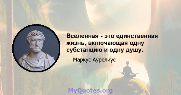 Вселенная - это единственная жизнь, включающая одну субстанцию ​​и одну душу.