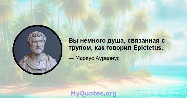 Вы немного душа, связанная с трупом, как говорил Epictetus.