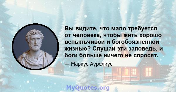 Вы видите, что мало требуется от человека, чтобы жить хорошо вспыльчивой и богобоязненной жизнью? Слушай эти заповедь, и боги больше ничего не спросят.