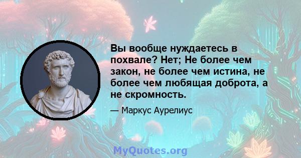 Вы вообще нуждаетесь в похвале? Нет; Не более чем закон, не более чем истина, не более чем любящая доброта, а не скромность.