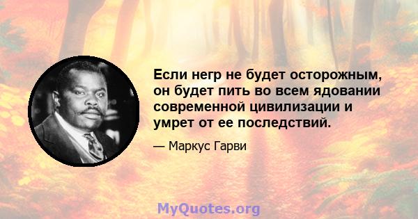 Если негр не будет осторожным, он будет пить во всем ядовании современной цивилизации и умрет от ее последствий.