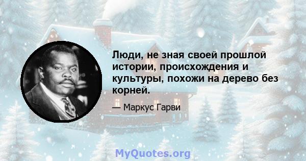 Люди, не зная своей прошлой истории, происхождения и культуры, похожи на дерево без корней.