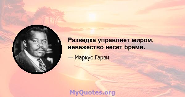 Разведка управляет миром, невежество несет бремя.