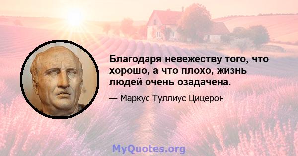 Благодаря невежеству того, что хорошо, а что плохо, жизнь людей очень озадачена.