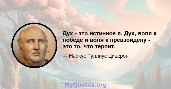 Дух - это истинное я. Дух, воля к победе и воля к превзойдену - это то, что терпит.