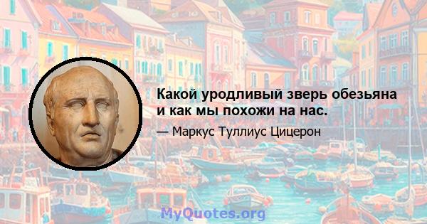 Какой уродливый зверь обезьяна и как мы похожи на нас.