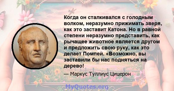 Когда он сталкивался с голодным волком, неразумно прижимать зверя, как это заставит Катона. Но в равной степени неразумно представить, как рычащее животное является другом и предложить свою руку, как это делает Помпей.