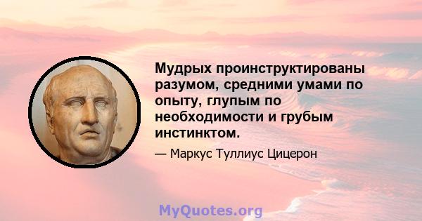 Мудрых проинструктированы разумом, средними умами по опыту, глупым по необходимости и грубым инстинктом.