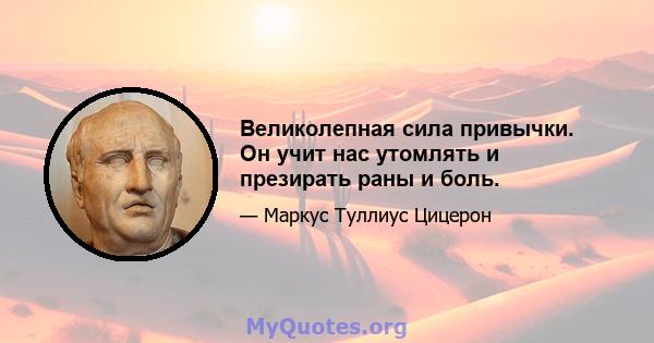 Великолепная сила привычки. Он учит нас утомлять и презирать раны и боль.