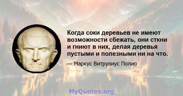 Когда соки деревьев не имеют возможности сбежать, они сткни и гниют в них, делая деревья пустыми и полезными ни на что.