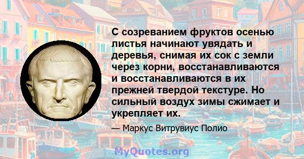 С созреванием фруктов осенью листья начинают увядать и деревья, снимая их сок с земли через корни, восстанавливаются и восстанавливаются в их прежней твердой текстуре. Но сильный воздух зимы сжимает и укрепляет их.