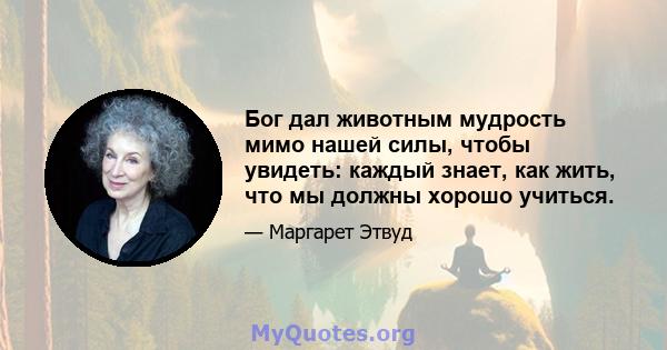 Бог дал животным мудрость мимо нашей силы, чтобы увидеть: каждый знает, как жить, что мы должны хорошо учиться.