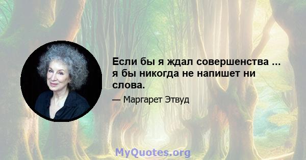 Если бы я ждал совершенства ... я бы никогда не напишет ни слова.