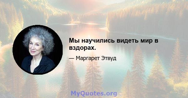 Мы научились видеть мир в вздорах.