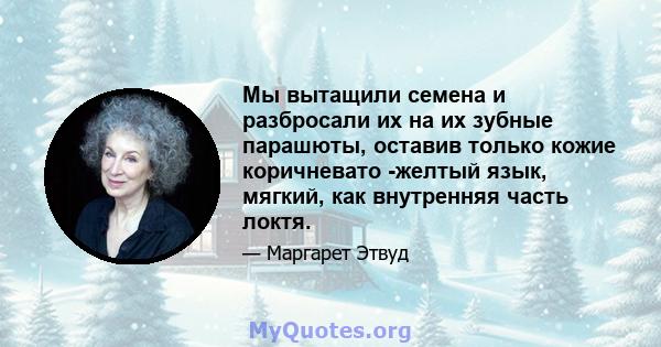 Мы вытащили семена и разбросали их на их зубные парашюты, оставив только кожие коричневато -желтый язык, мягкий, как внутренняя часть локтя.