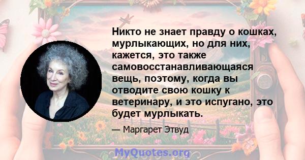 Никто не знает правду о кошках, мурлыкающих, но для них, кажется, это также самовосстанавливающаяся вещь, поэтому, когда вы отводите свою кошку к ветеринару, и это испугано, это будет мурлыкать.