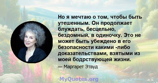 Но я мечтаю о том, чтобы быть утешенным. Он продолжает блуждать, бесцельно, бездомный, в одиночку. Это не может быть убеждено в его безопасности какими -либо доказательствами, взятыми из моей бодрствующей жизни.