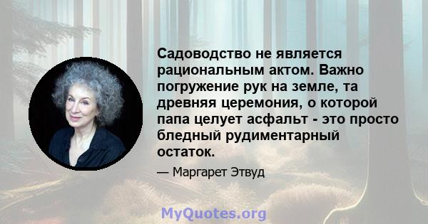 Садоводство не является рациональным актом. Важно погружение рук на земле, та древняя церемония, о которой папа целует асфальт - это просто бледный рудиментарный остаток.