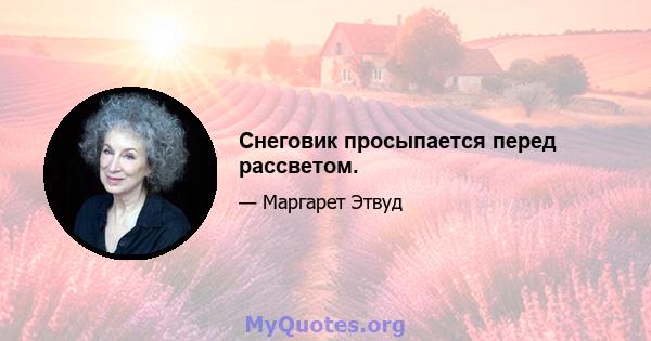 Снеговик просыпается перед рассветом.