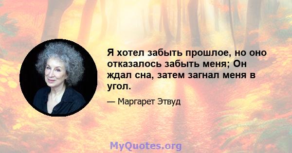 Я хотел забыть прошлое, но оно отказалось забыть меня; Он ждал сна, затем загнал меня в угол.