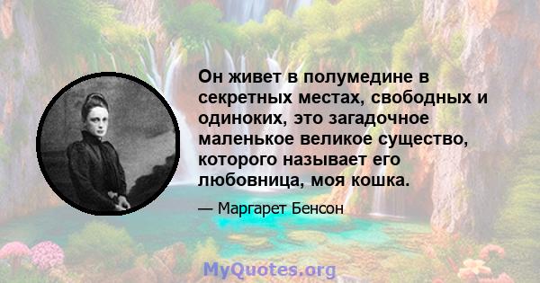 Он живет в полумедине в секретных местах, свободных и одиноких, это загадочное маленькое великое существо, которого называет его любовница, моя кошка.