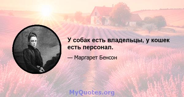 У собак есть владельцы, у кошек есть персонал.