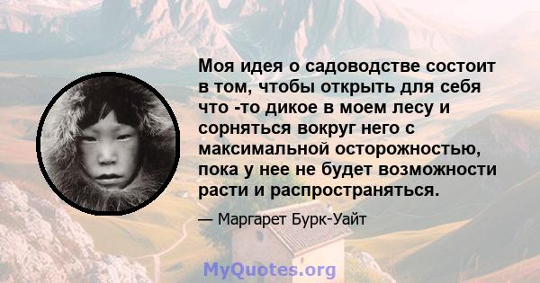 Моя идея о садоводстве состоит в том, чтобы открыть для себя что -то дикое в моем лесу и сорняться вокруг него с максимальной осторожностью, пока у нее не будет возможности расти и распространяться.